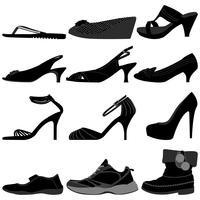 Women's Footwear set.  vector