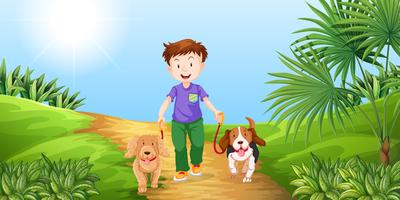 Boy taking dogs for walk in the park vector