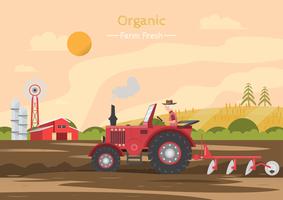 Agricultural work on a field with tractor. vector