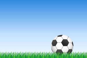 Football or soccer ball on green grass  vector