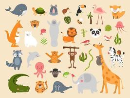 Wildlife animal cartoons vector