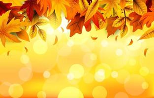 Autumn Leaves Background vector