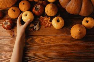 A bunch of pumpkins and apples. photo