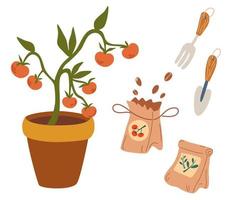 Tomatoes and seeds. Seedlings. Packs of seeds. Fertilizer organic bag. Growing vegetables. Concept of healthy eating, springtime gardening, farming. Cartoon Vector illustration