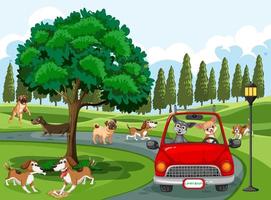 Dogs running and driving car in the park vector