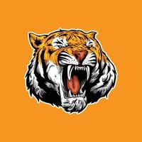 tiger head illustration vector