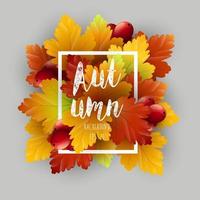 Autumn leaves background vector