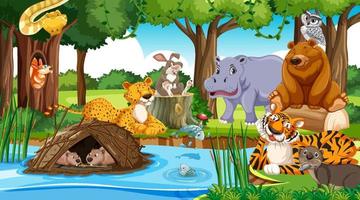 Wild animals cartoon characters in the forest scene vector