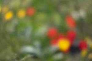 Abstract blurred image of a spring garden photo