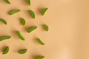 Top view of fresh aloe vera leaves. spa background concept. photo