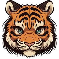 common tiger feline mammal animal face vector