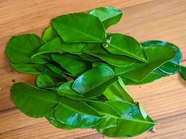 A close up of citrus hystrix or kaffir lime leaves. Herbs for cooking photo