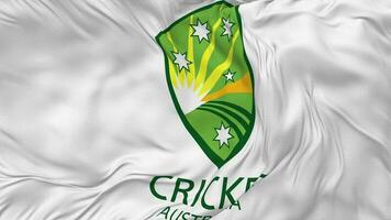 Cricket Australia, Australian Cricket Board, CA, ACB Flag Seamless Looping Background, Looped Bump Texture Cloth Waving Slow Motion, 3D Rendering video