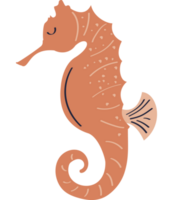 seahorse sealife animal png