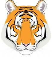 Tiger head in cartoon style. Vector illustration