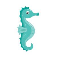 Seahorse cute cartoon png