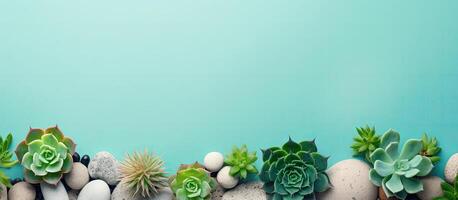 A group of succulents and rocks on a blue background created with technology photo