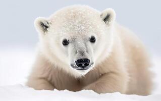 Polar bear cub in the snowy tundra. AI, photo