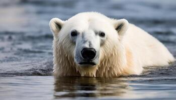 Cute dog looking at camera, wet fur, reflecting nature beauty generated by AI photo