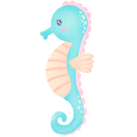 cute sea horse png