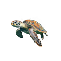 Loggerhead sea turtle ai generated png