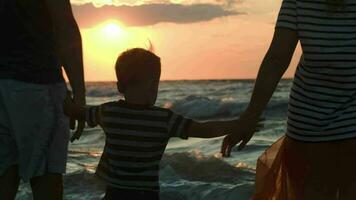 Family looking at sunset holding hands video