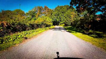 Autumn Drive Through Serene Forest Lane video