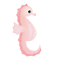 pink sea horses png