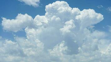 White Fluffy Cumulus Clouds and Blue Sky. Time Lapse. video