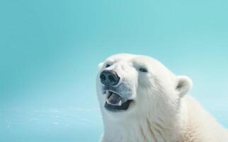 AI generated happy white polar bear portrait facing a blue shade photo