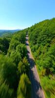 Motorcycle riding through the lush green forest in the mountains. video