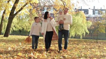 A happy family of four spend time in the autumn park. Family walking in the park and enjoying a sunny day. Horizontal video