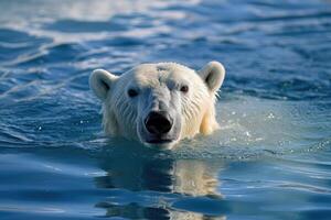 AI generated Polar bear swimming in the blue artic ocean on a clear sunny day photo