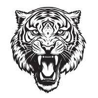 Angry tiger head hand drawn sketch illustration Wild animals vector