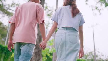 A man looking back, trusting, holding hands, enjoying, relaxing, walking, forward into the sunlight. With an Asian woman in a field of nature begins the family's dream of a life of love, hope and care video