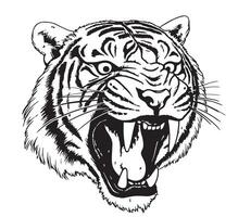 Head of growling tiger hand drawn sketch illustration vector