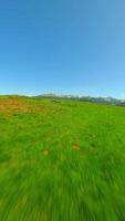 FPV flight over green meadow near the Tatra mountains in summer, Poland. video