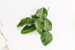 Aroma seasoning kaffir lime leaves photo