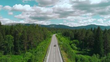 Aerial view of road across the forest on blue cloudy sky background. Scene. Straight long road bending along green trees and bushes. video