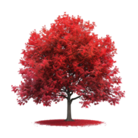 Red tree on transparent background. png