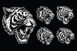 Dark Art Tiger Beast Angry Head with Sharp Fang Black and White Illustration vector