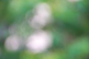 Defocused abstract background, Green bokeh on nature defocus art abstract blur background. photo