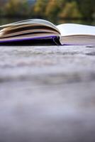 Pages of an open book on the wooden deck on the lake in the forest. Concept of reading, relaxing, meditating, education, visiting libraries, book exhibitions. Close up. Side view. Selective focus photo