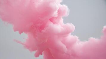 pink cotton buds are blowing in a cloud, photo