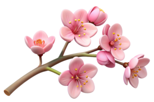 Cherry Blossom Branch 3d Design png