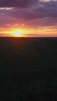 Aerial view beautiful summer sunset or sunrise. Clip. Drone flying over field, natural landscape, forest and field. video