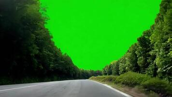 Forest Road with Bright Green Sky green screen background. video