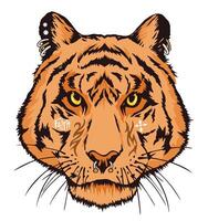 Illustration of a stylish tiger face with tattoos and piercings. vector