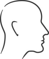 A man's head is shown in a line drawing vector