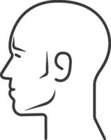 A man's head is shown in a line drawing vector